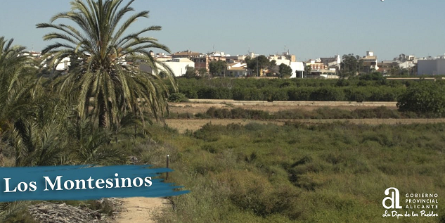 Los Montesinos