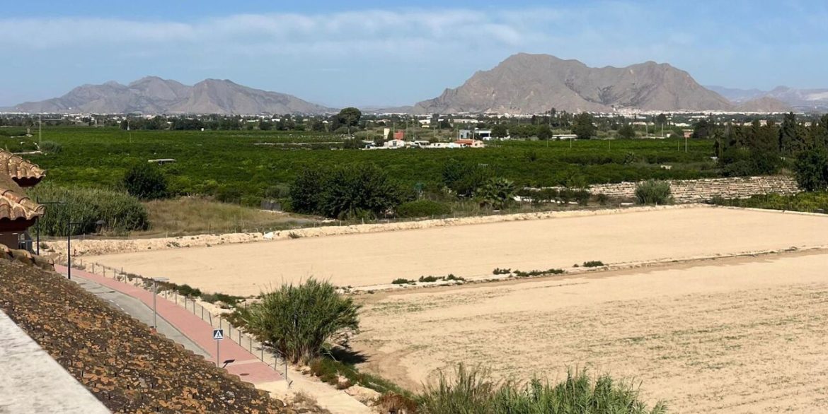 157674-apartment-for-sale-in-algorfa-30460046-large