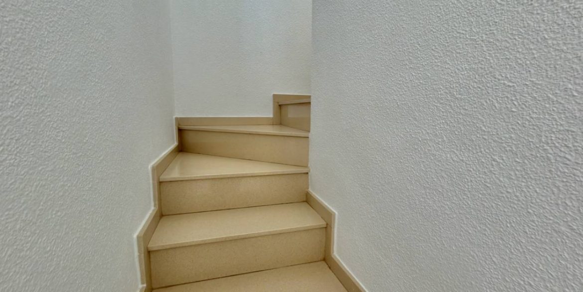 11873523_xl