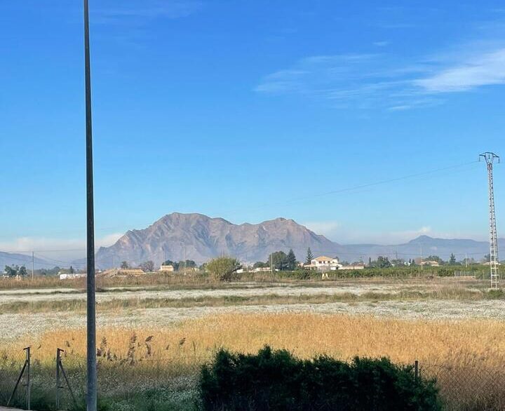 159117-apartment-for-sale-in-almoradi-30942145-large