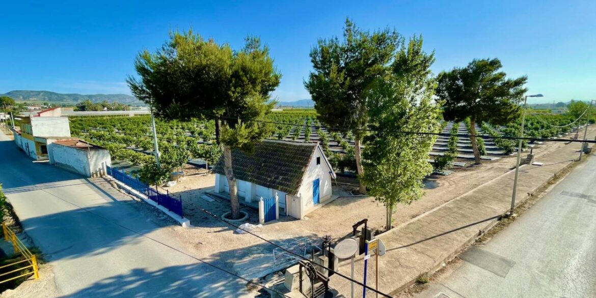 11694024_xl