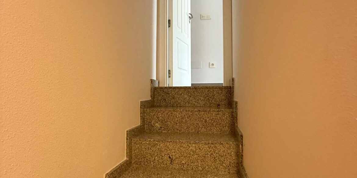 ShowFeedImage