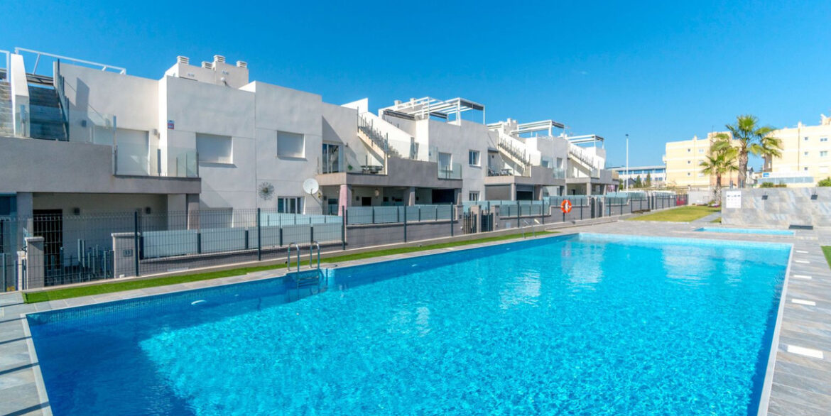 ShowFeedImage