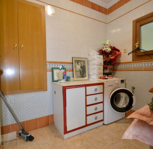 ShowFeedImage