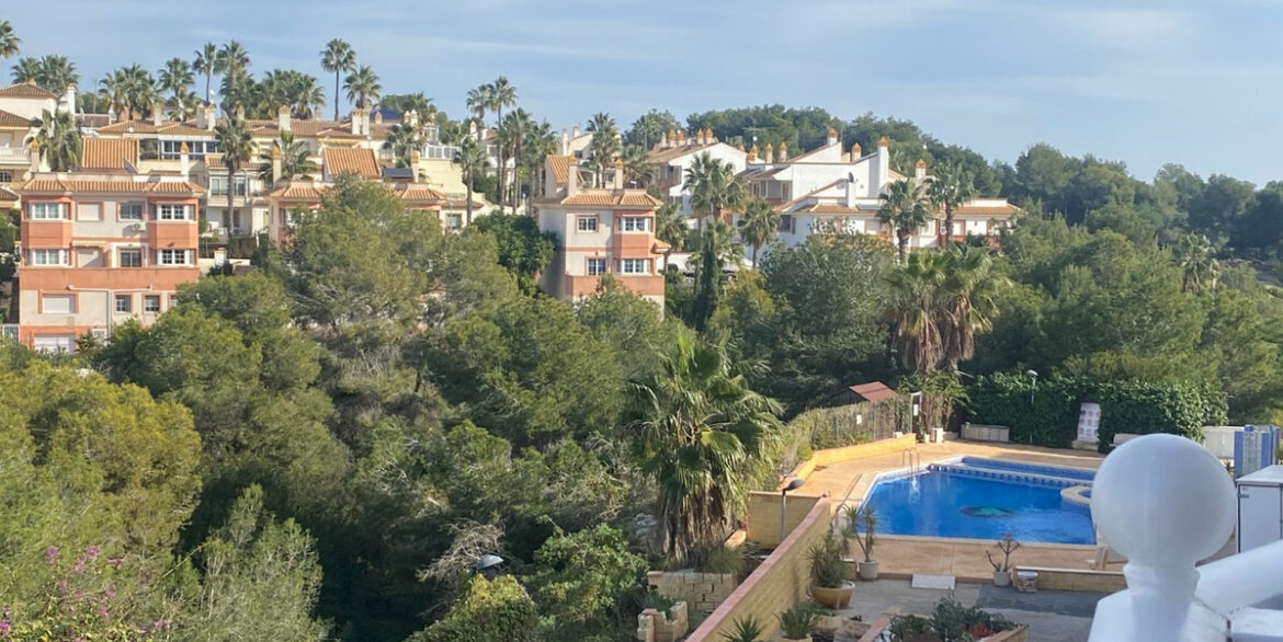 ShowFeedImage