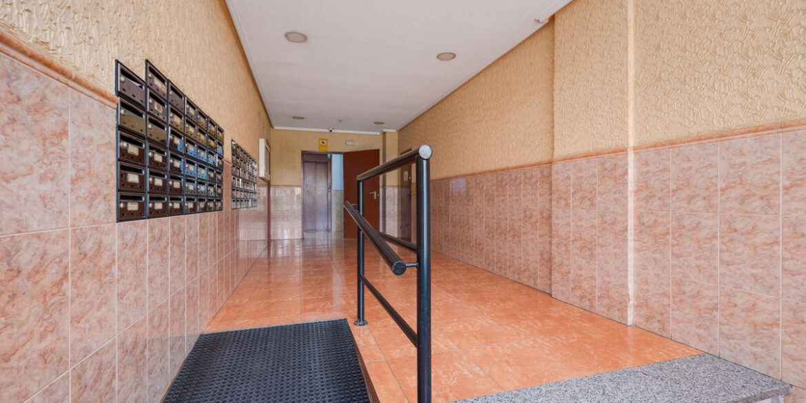 ShowFeedImage