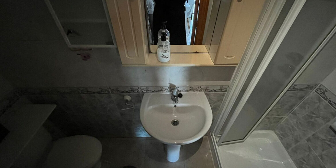 ShowFeedImage