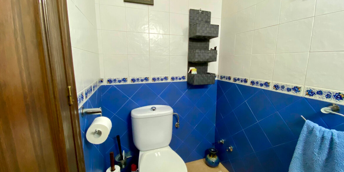 ShowFeedImage