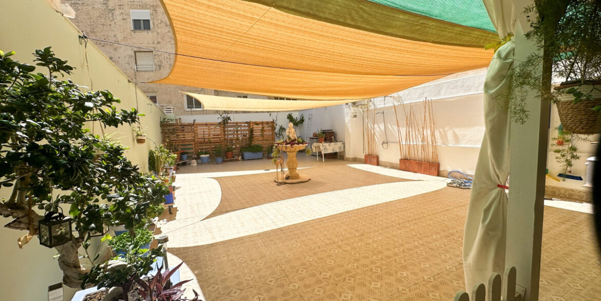 ShowFeedImage