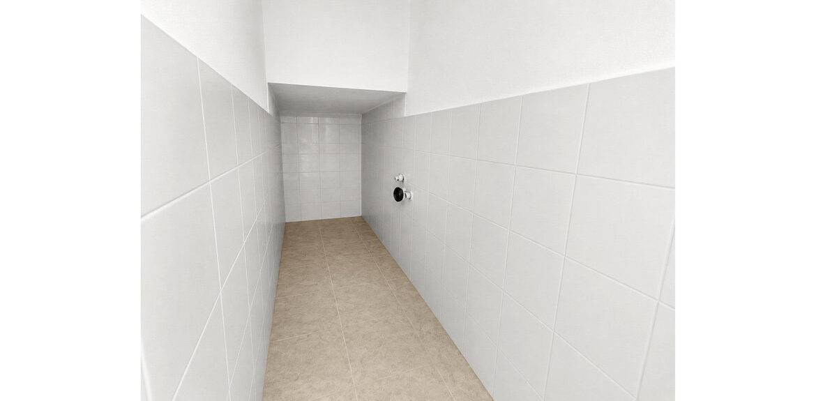 ShowFeedImage