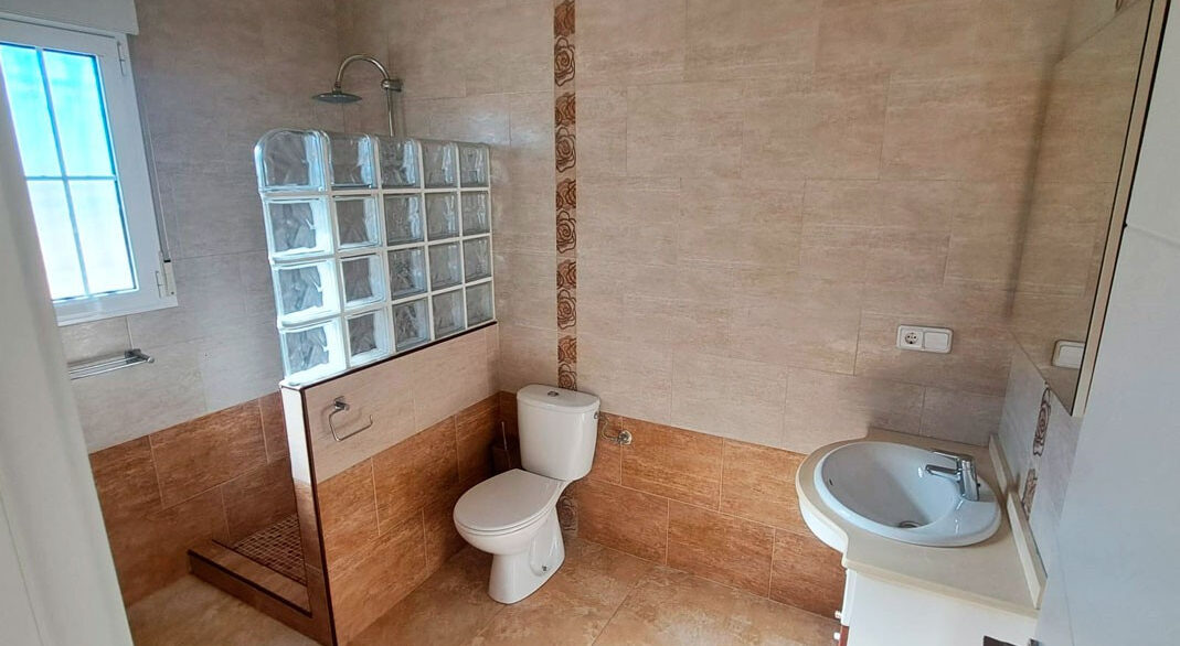 ShowFeedImage