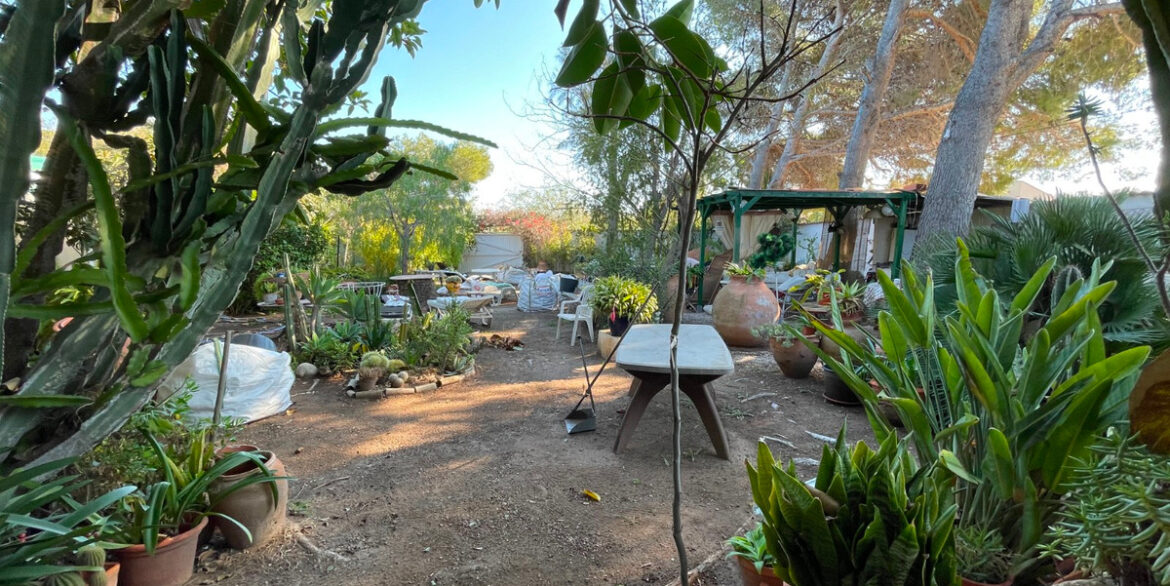 ShowFeedImage