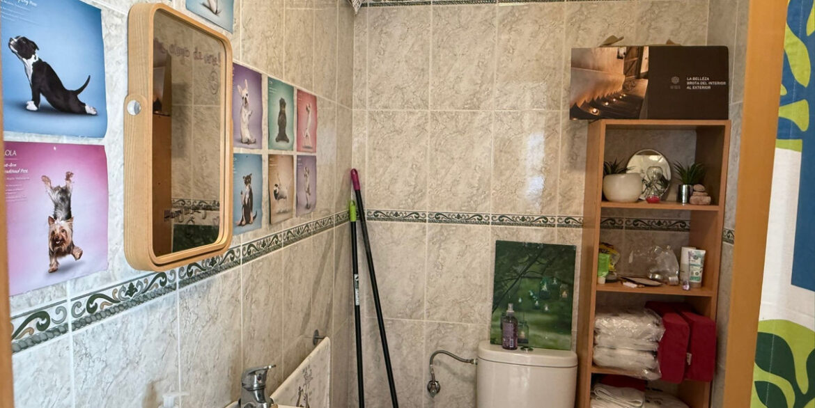ShowFeedImage