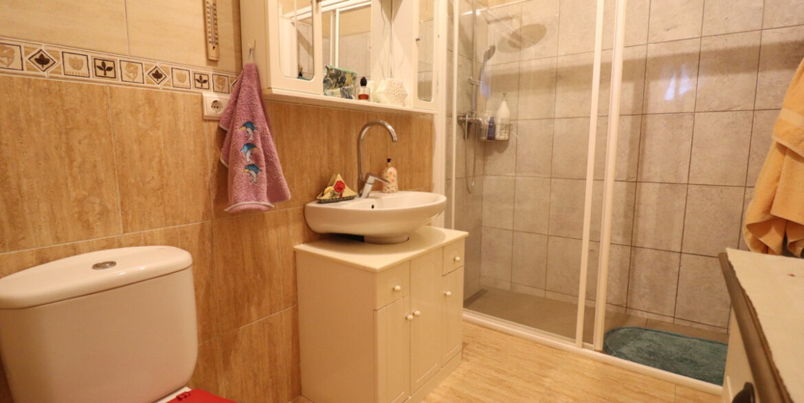 ShowFeedImage