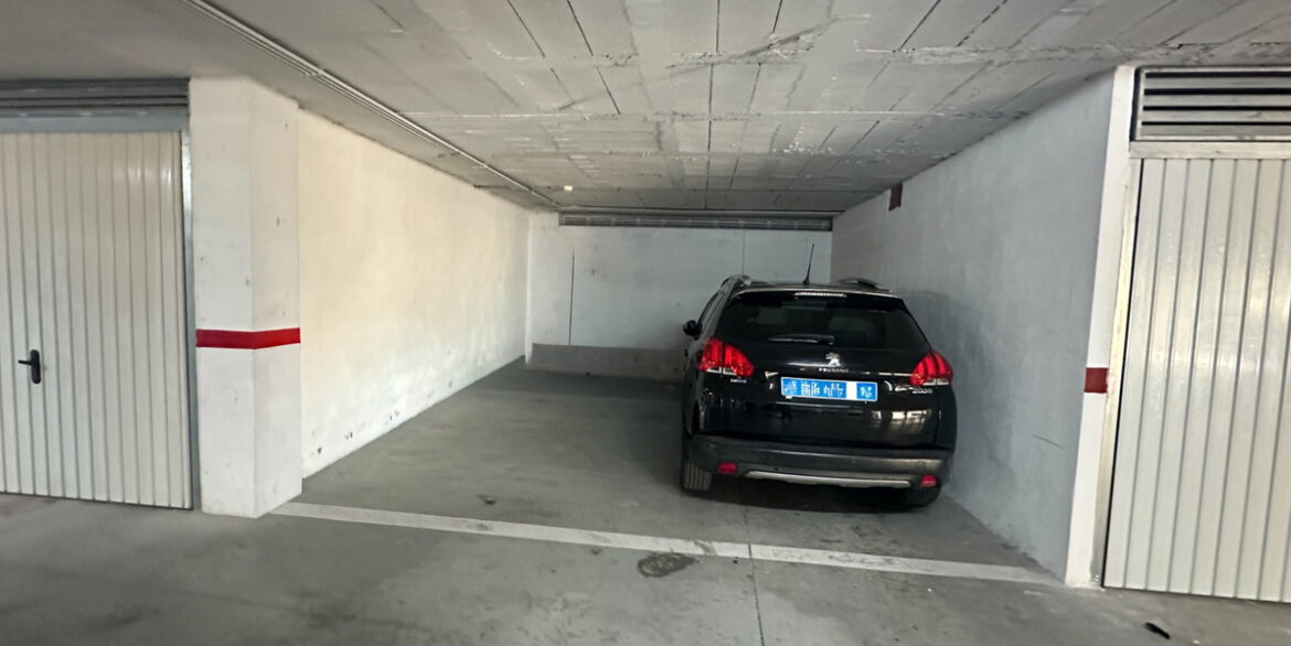 ShowFeedImage