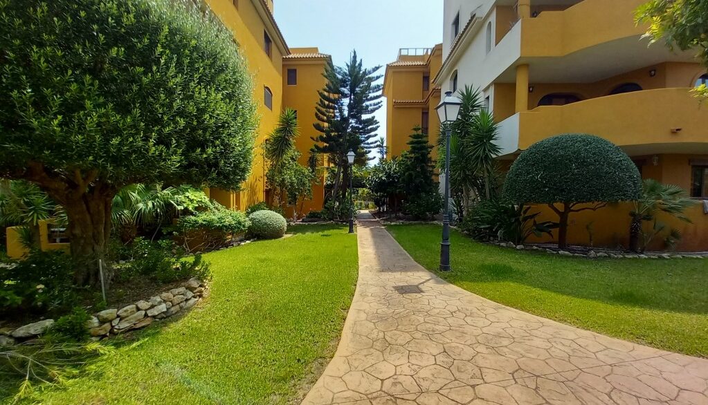 full_1482936_65249856