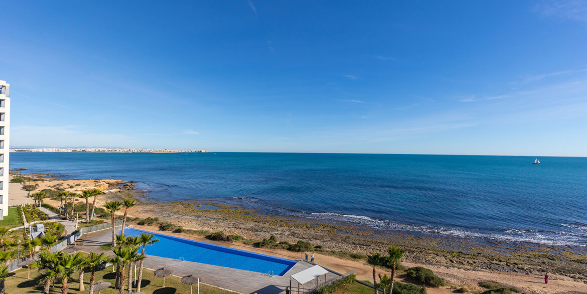 Posidonia y panorama mar