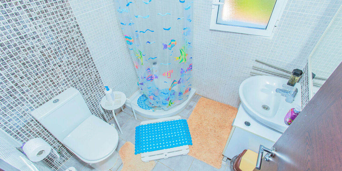 ShowFeedImage