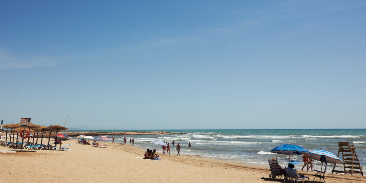 ShowFeedImage