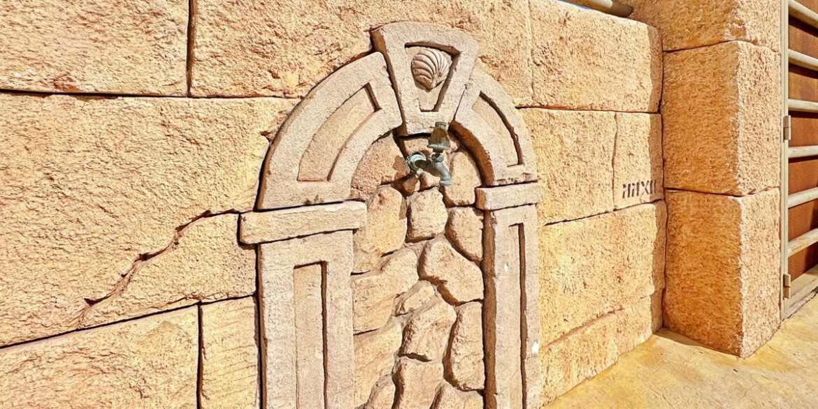 ShowFeedImage
