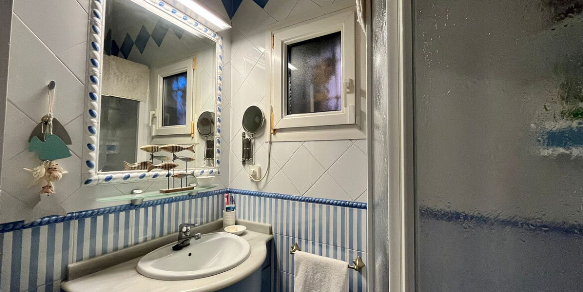 ShowFeedImage