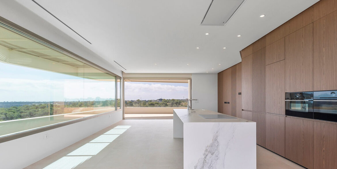 ShowFeedImage