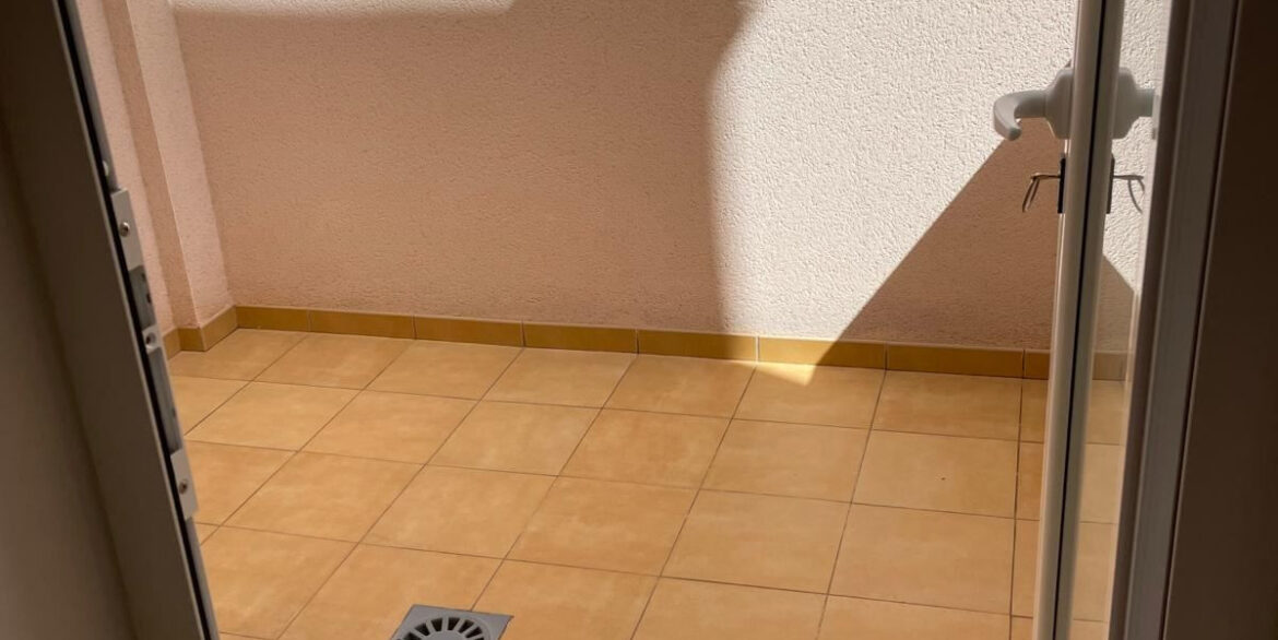 ShowFeedImage