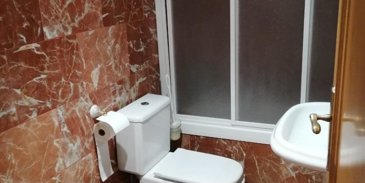 ShowFeedImage