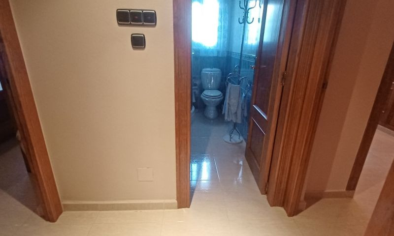 ShowFeedImage