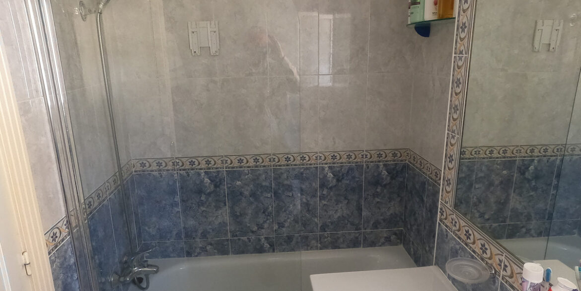 ShowFeedImage