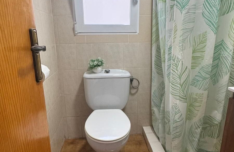 ShowFeedImage