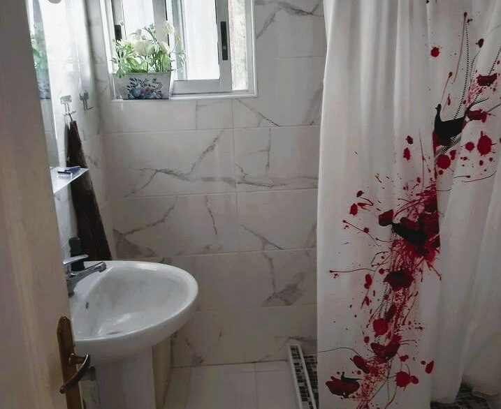ShowFeedImage