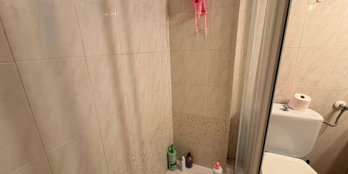 ShowFeedImage