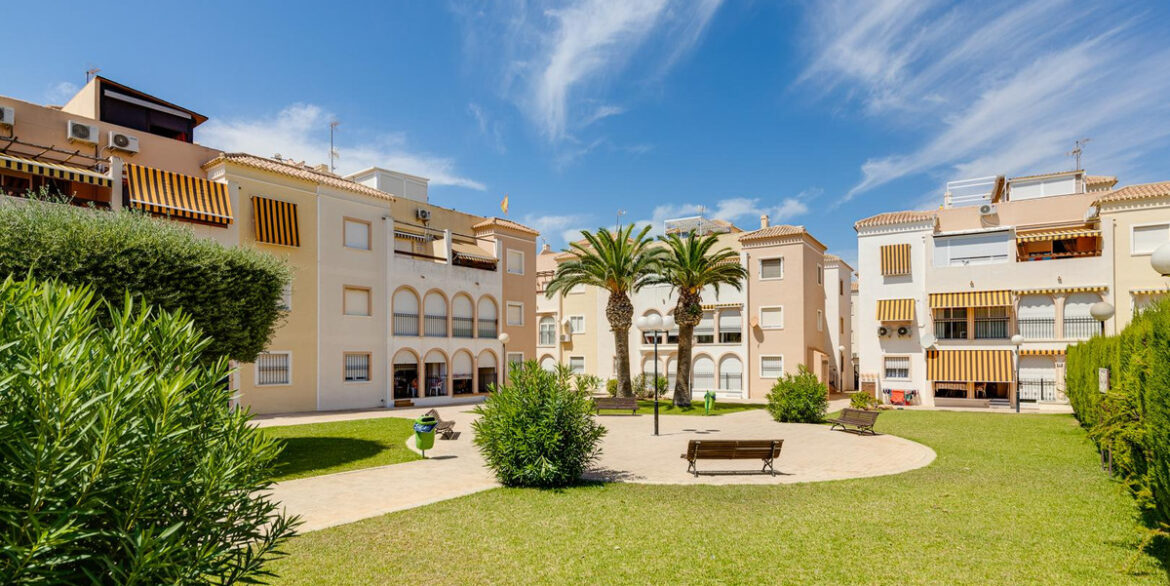 ShowFeedImage