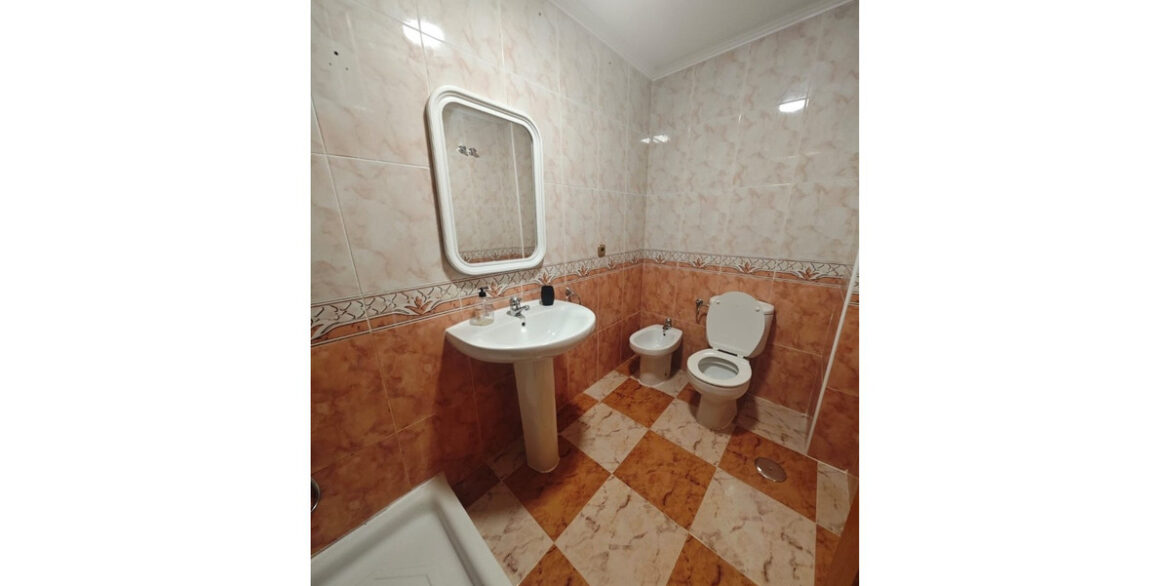 ShowFeedImage