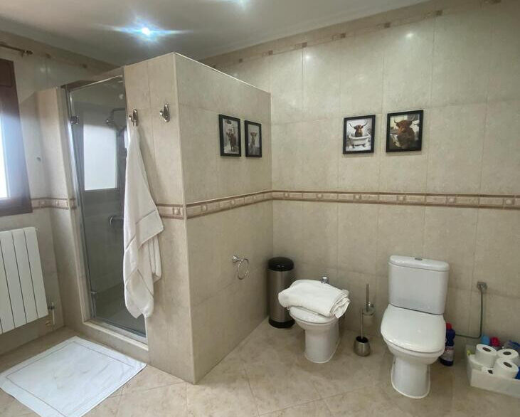 ShowFeedImage