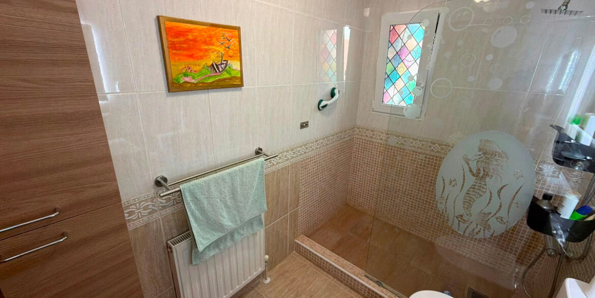 ShowFeedImage