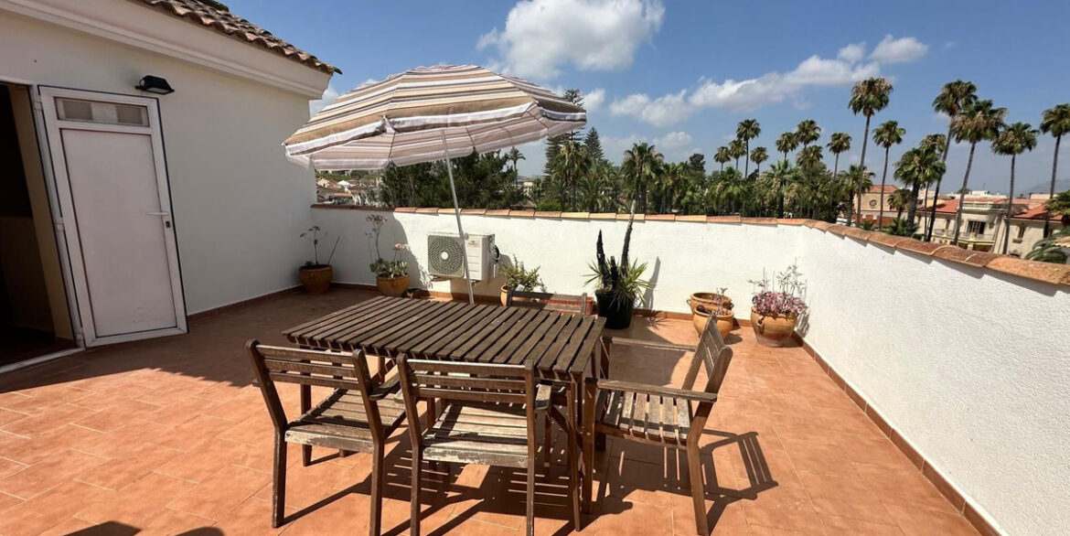 ShowFeedImage