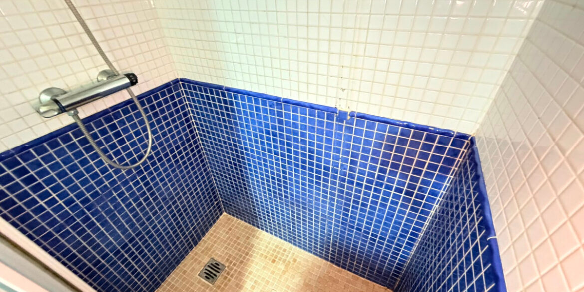 ShowFeedImage