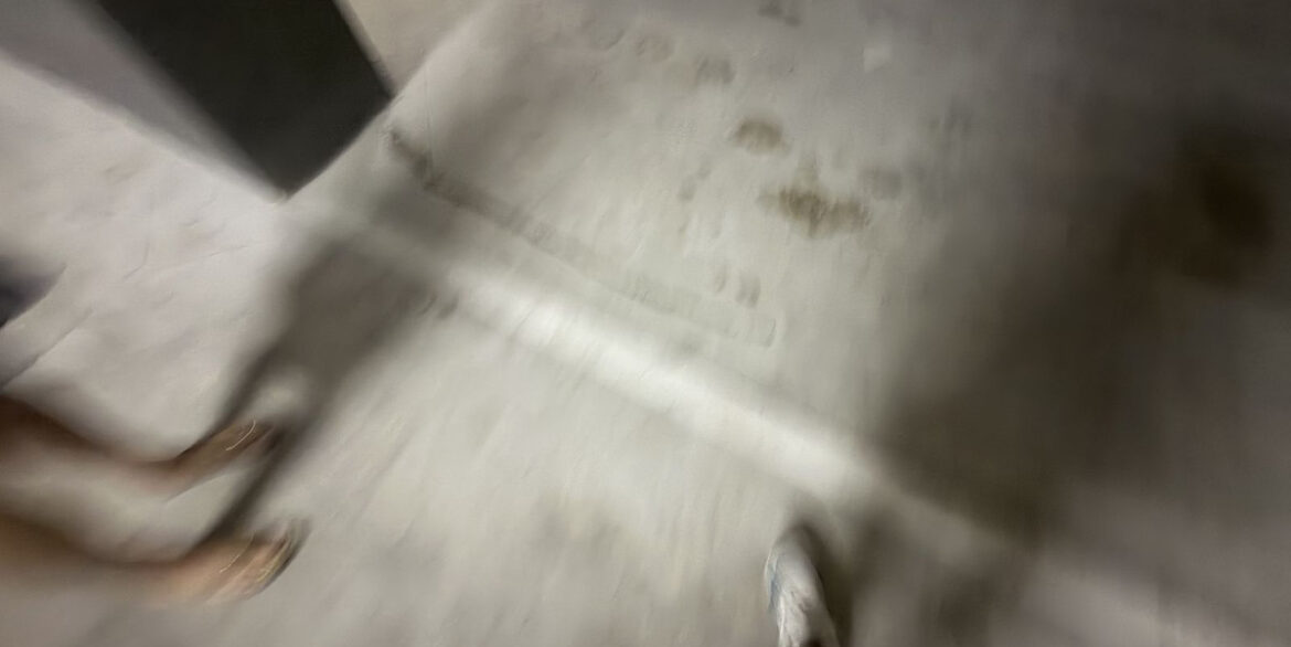 ShowFeedImage