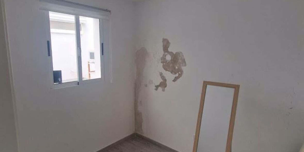 ShowFeedImage