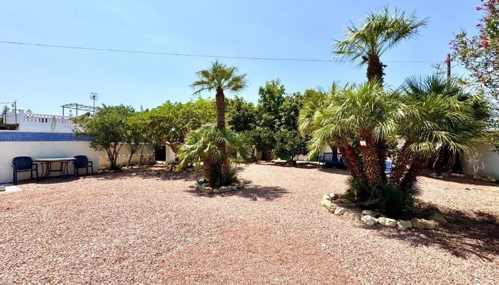Garden (3)