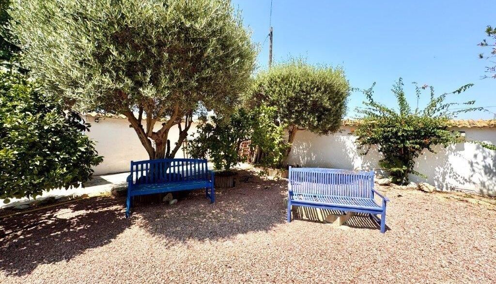 Garden (6)