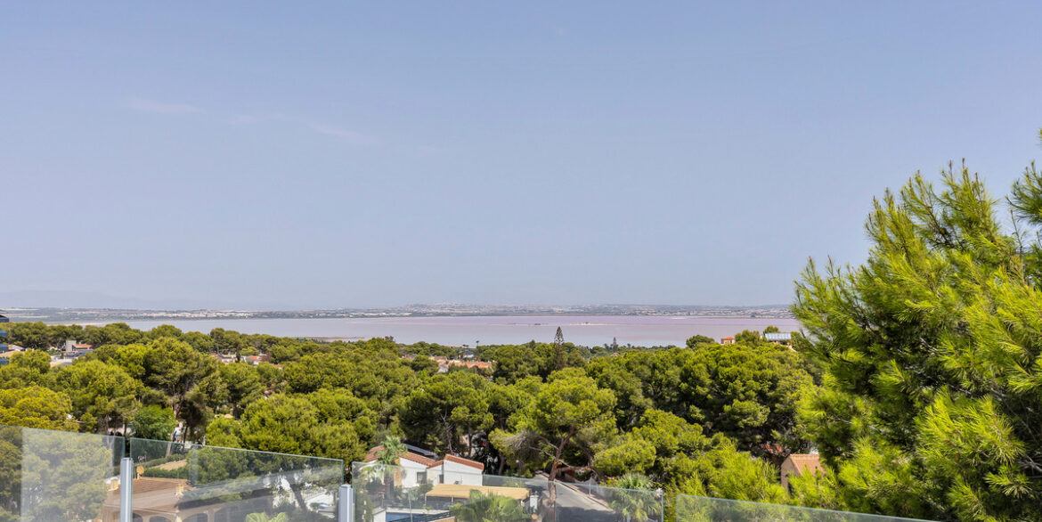 ShowFeedImage