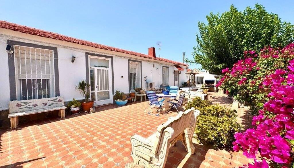 Terrace (2)