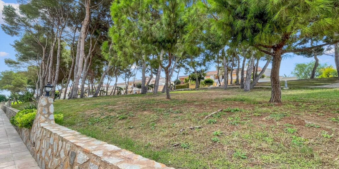796911_xl