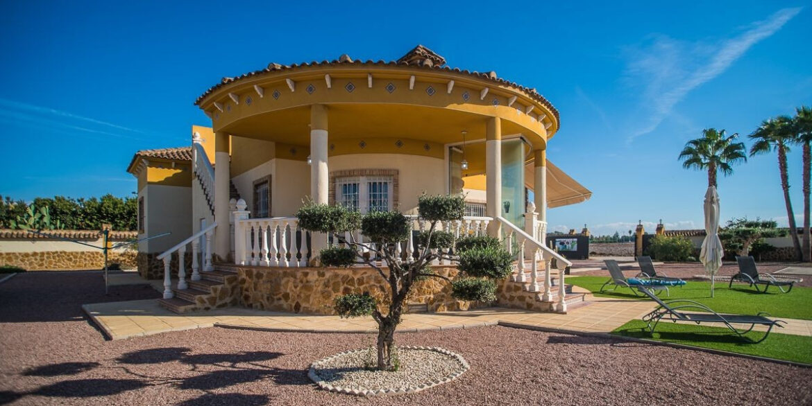 ShowFeedImage