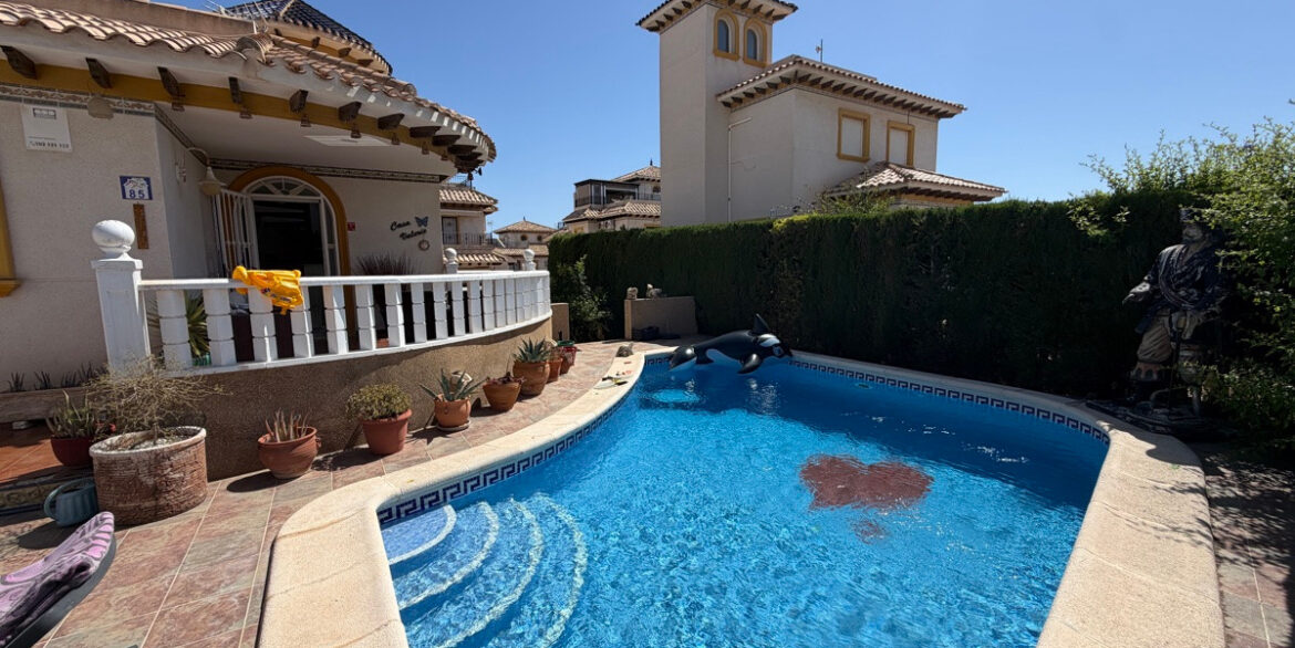 ShowFeedImage
