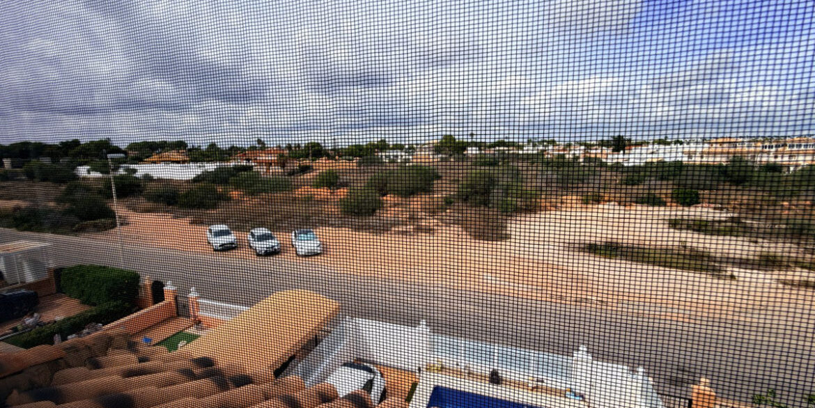 ShowFeedImage