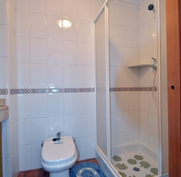 ShowFeedImage